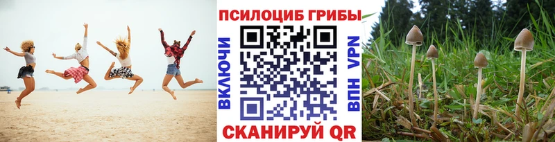 Галлюциногенные грибы мицелий  Красноуральск 